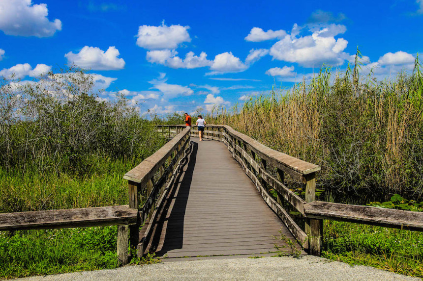 IMG_4607-2-860x573 Les Everglades 🐊 : guide pratique avec airboat tour